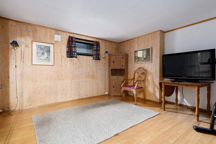 Basement living room