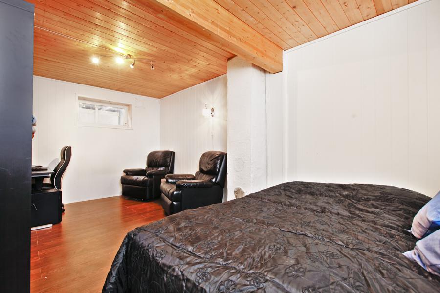 Basement living room