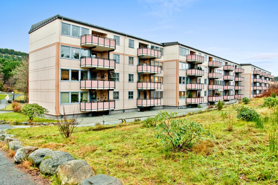 Velkommen til Flatevad 24
