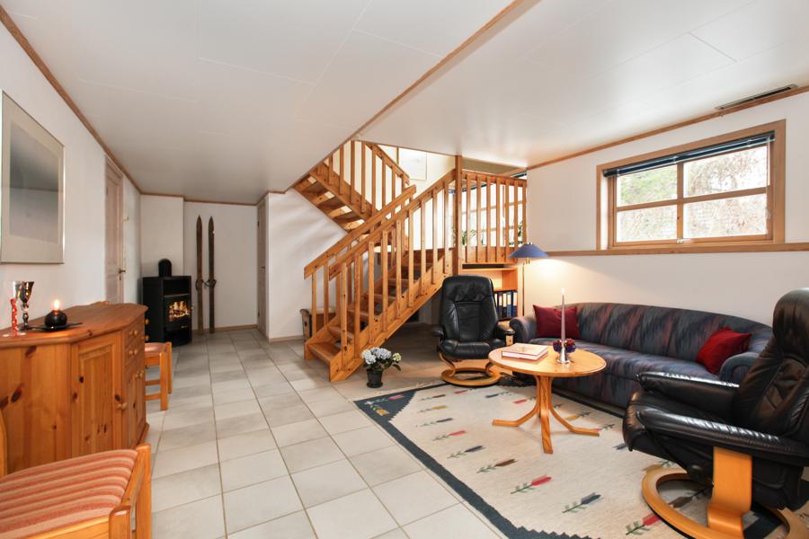 Basement living room