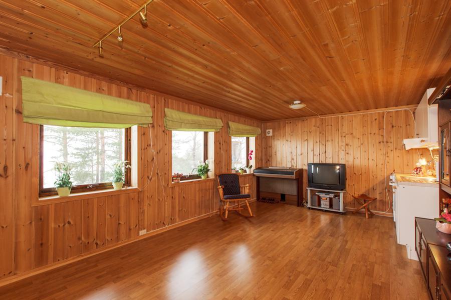 Basement living room