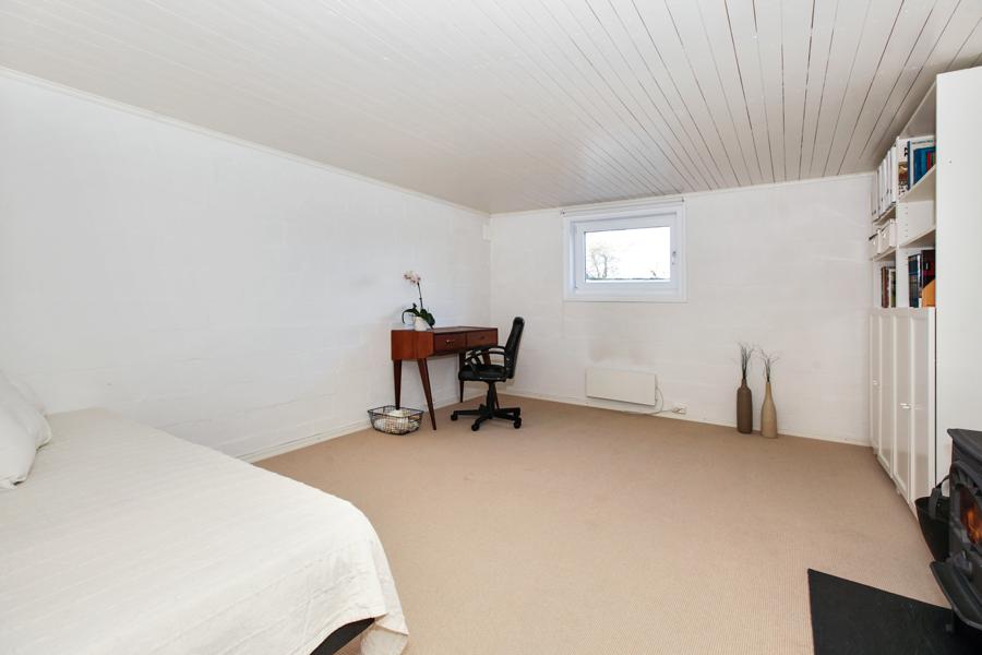 Basement living room