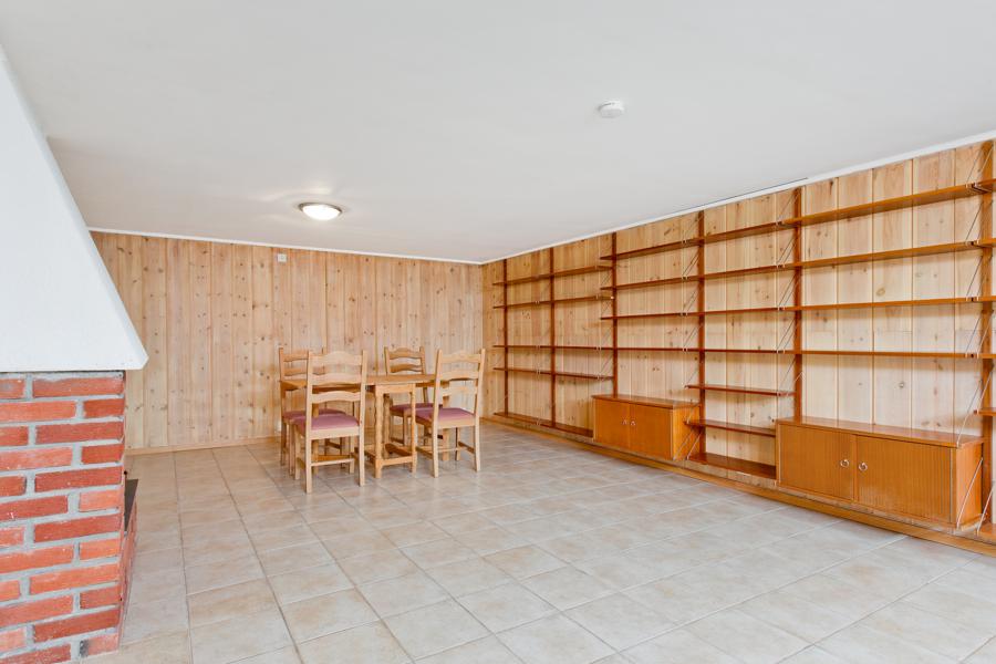 Basement living room