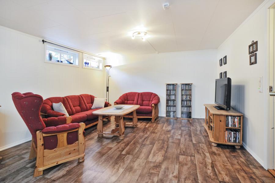 Basement living room