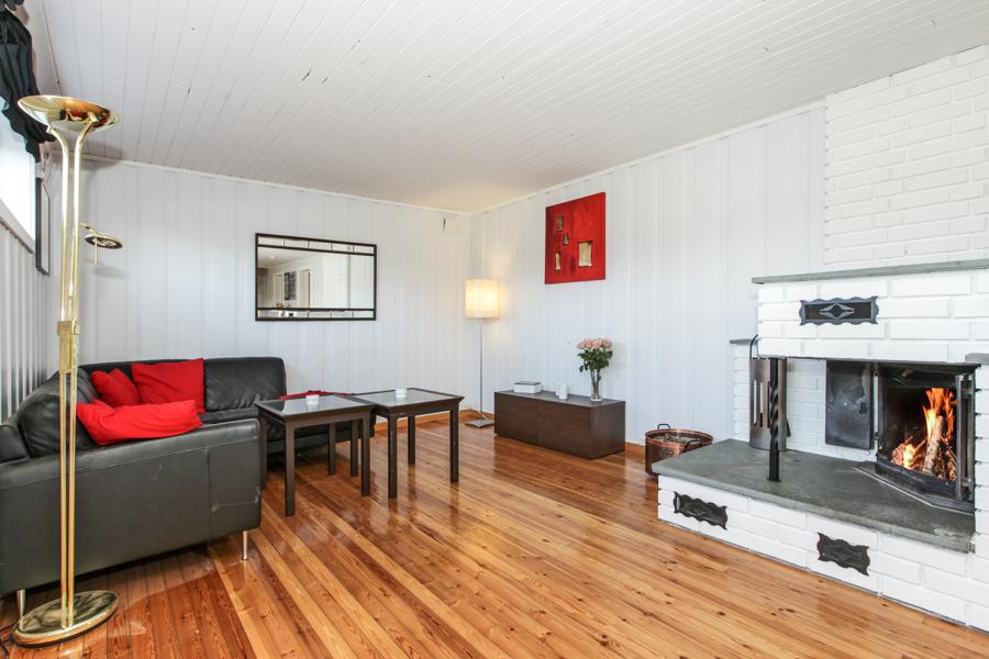 Basement living room