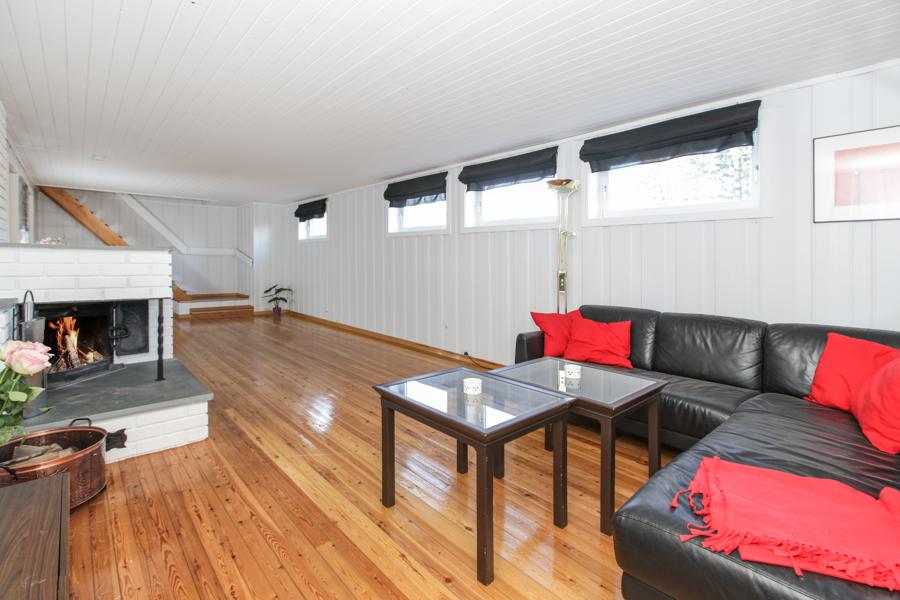 Basement living room