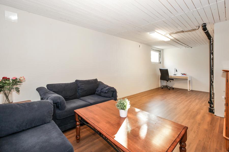Basement living room