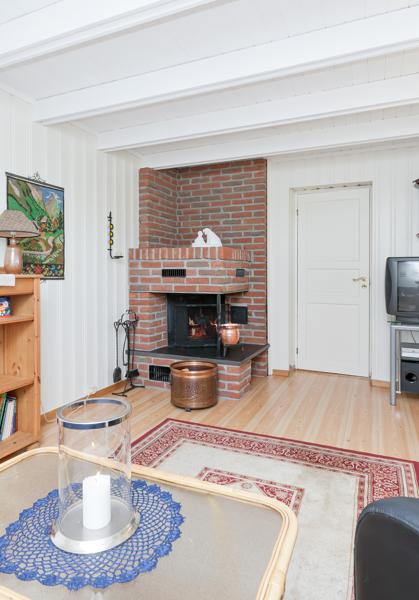 Basement living room