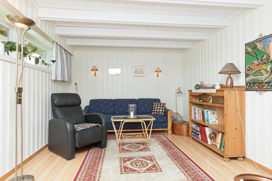 Basement living room