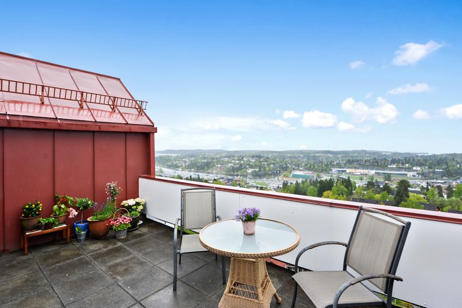 Velkommen til Hiltonåsen 82