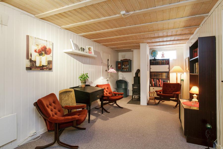Basement living room