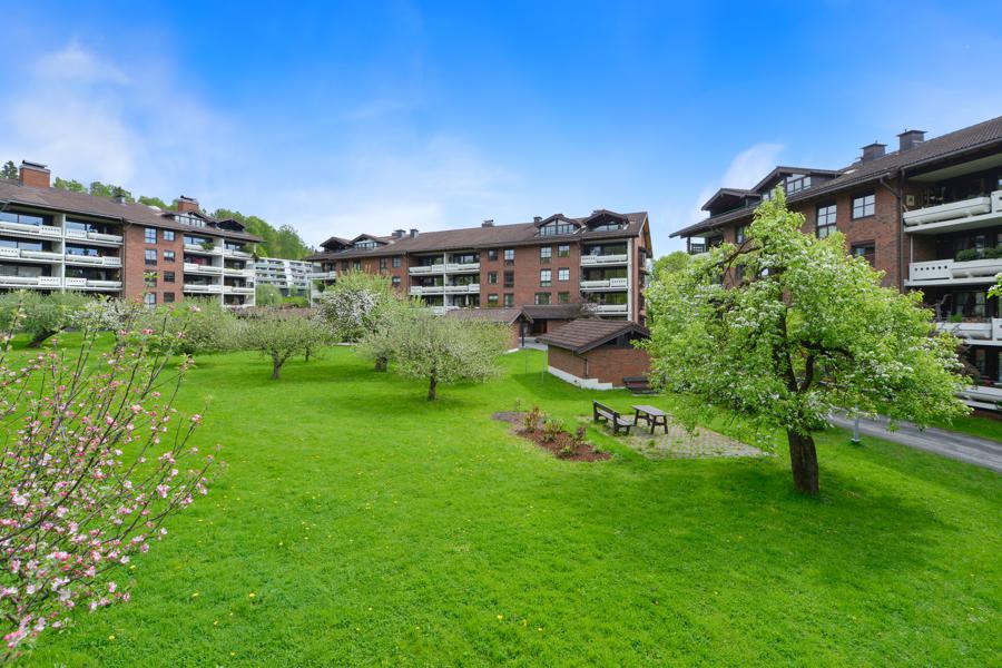 Velkommen til Hamang terrasse 79