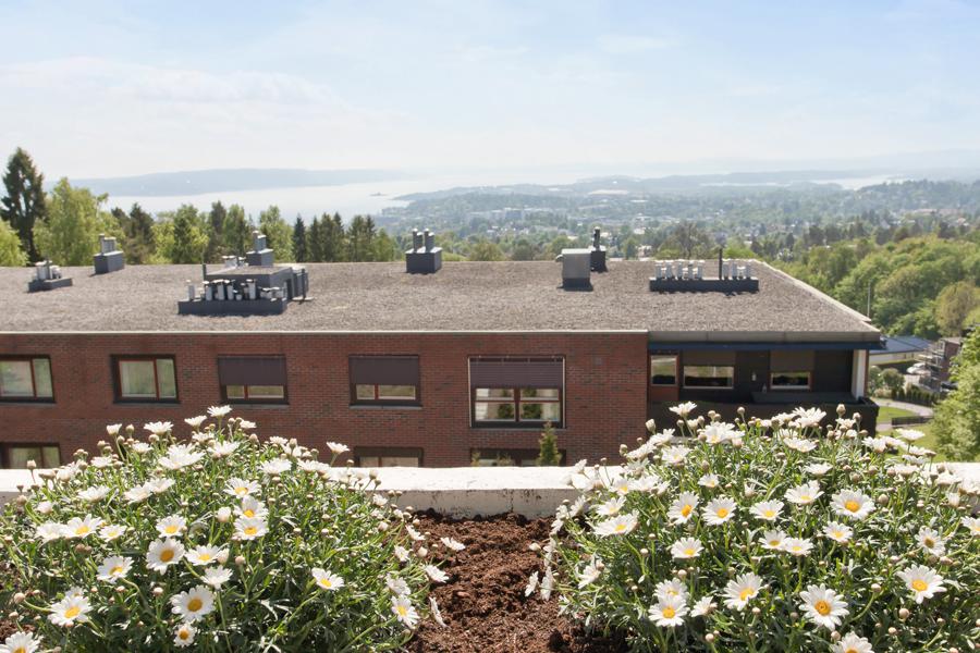 Velkommen til Hoffsjef Løvenskiolds vei 37