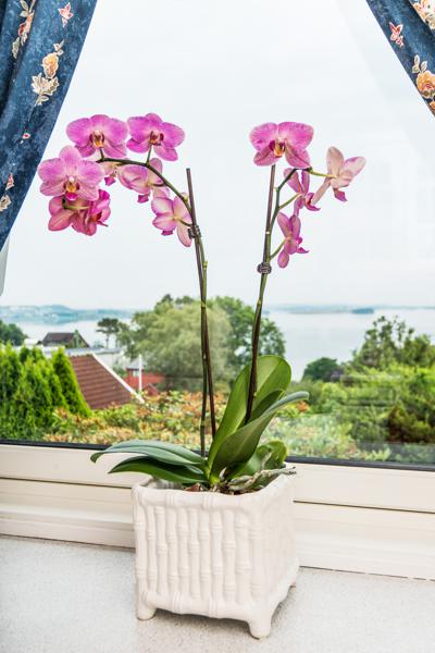 Kjøkken