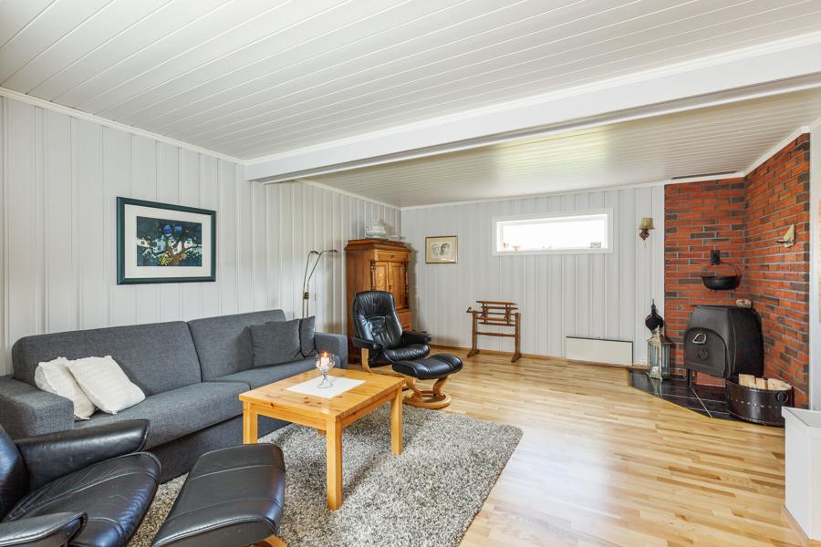 Basement living room
