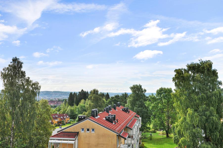 Utsikt