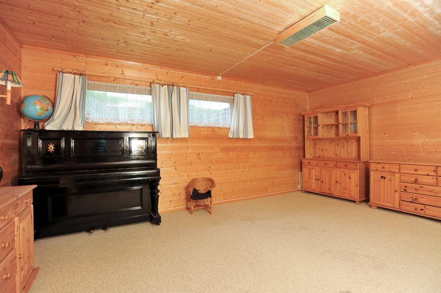 Basement living room