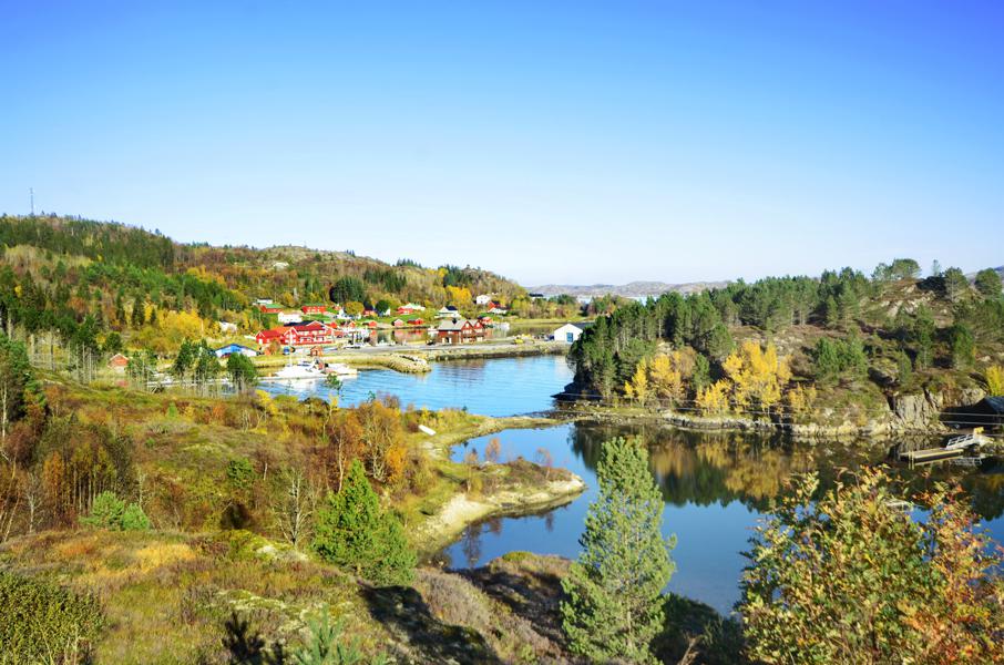 View