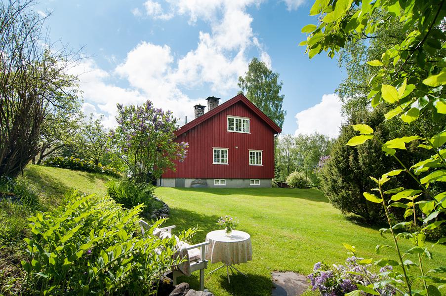 Velkommen til Ringsvegutua 3