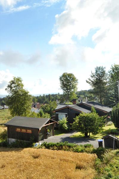 Velkommen til Nordlivegen 810
