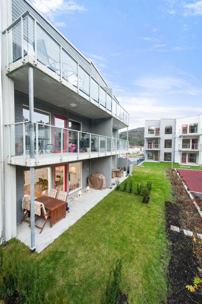 Velkommen til Bjønnbåsen 3A