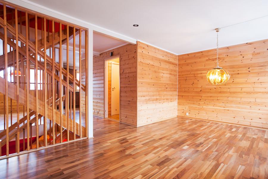 Basement living room