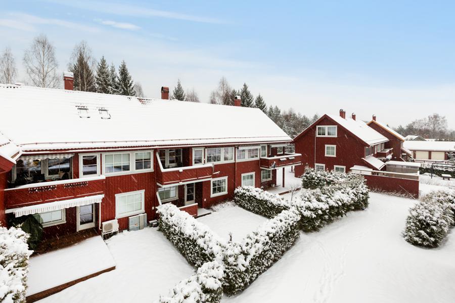 Welcome to Rugdeveien 46