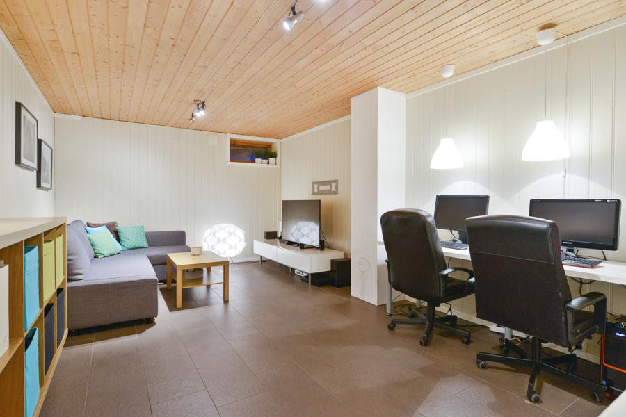 Basement living room