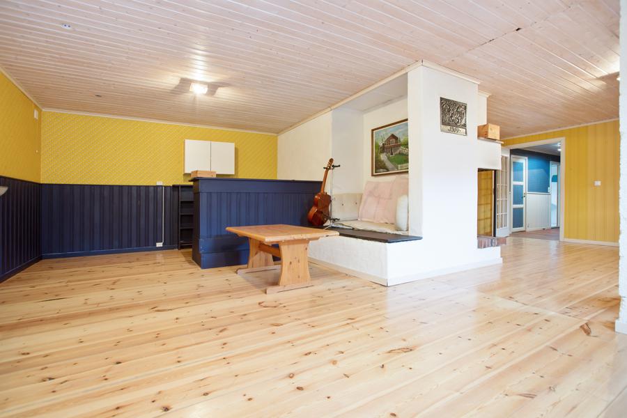 Basement living room
