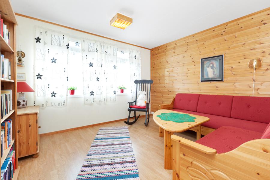 Basement living room