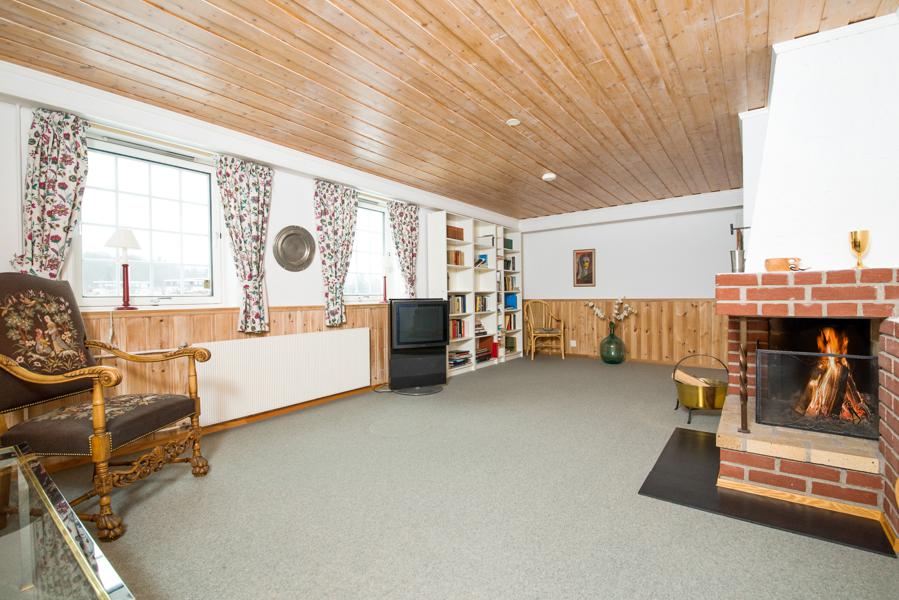 Basement living room