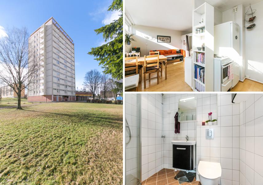 Velkommen til Rugveien 44 44