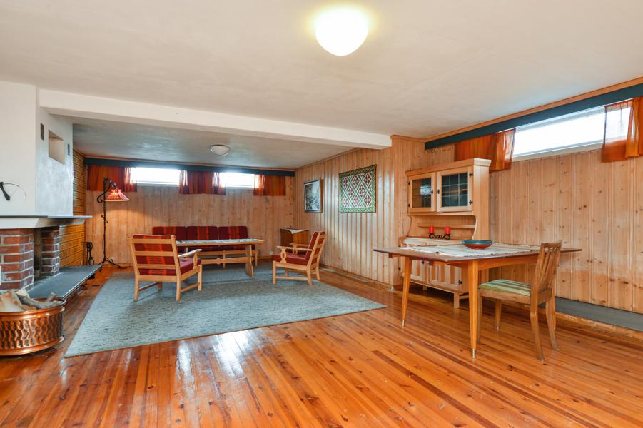 Basement living room