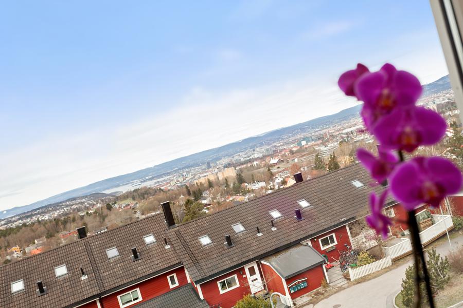 Velkommen til Hellerudgrenda 31 D 31D