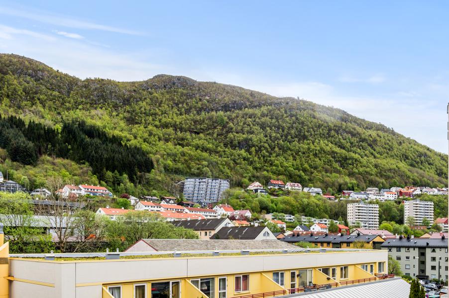 Utsikt