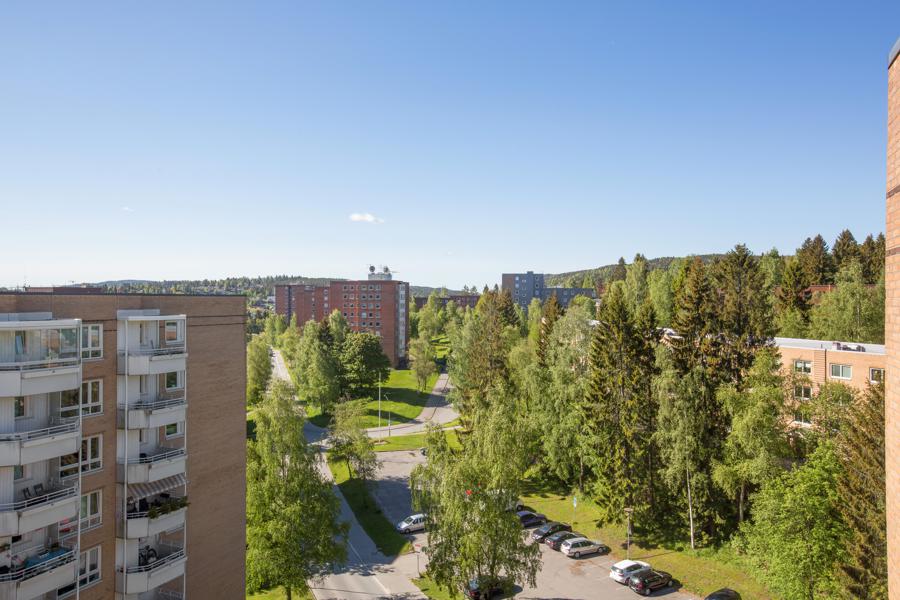 Utsikt