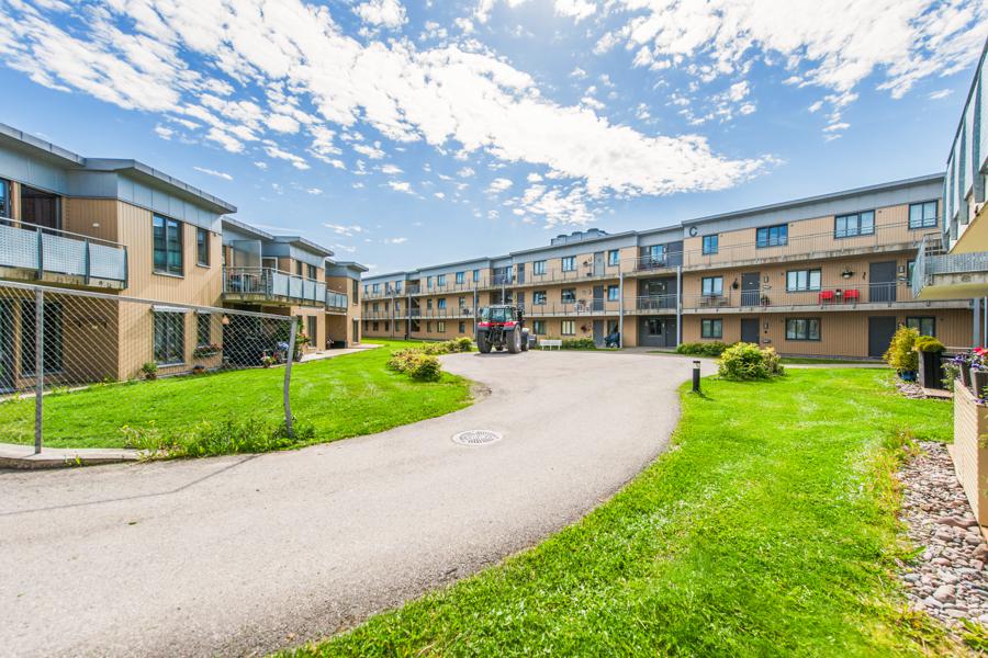 Velkommen til Likollen 2 C 2C