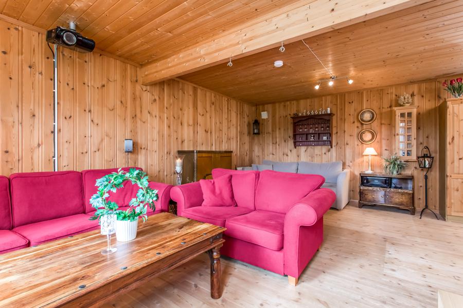 Basement living room