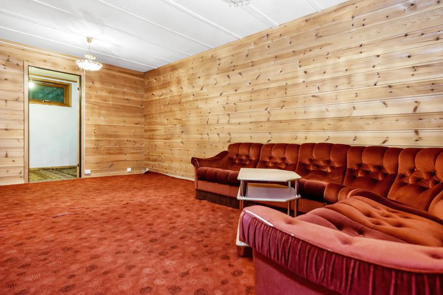 Basement living room
