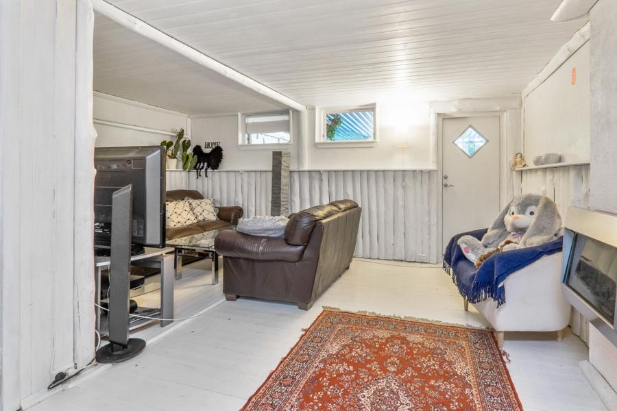 Basement living room