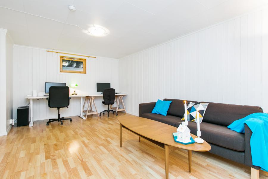 Basement living room