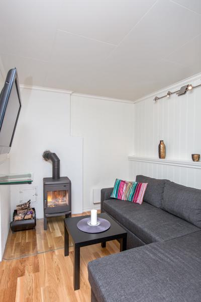 Basement living room