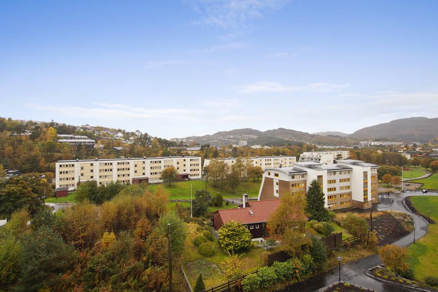 Utsikt