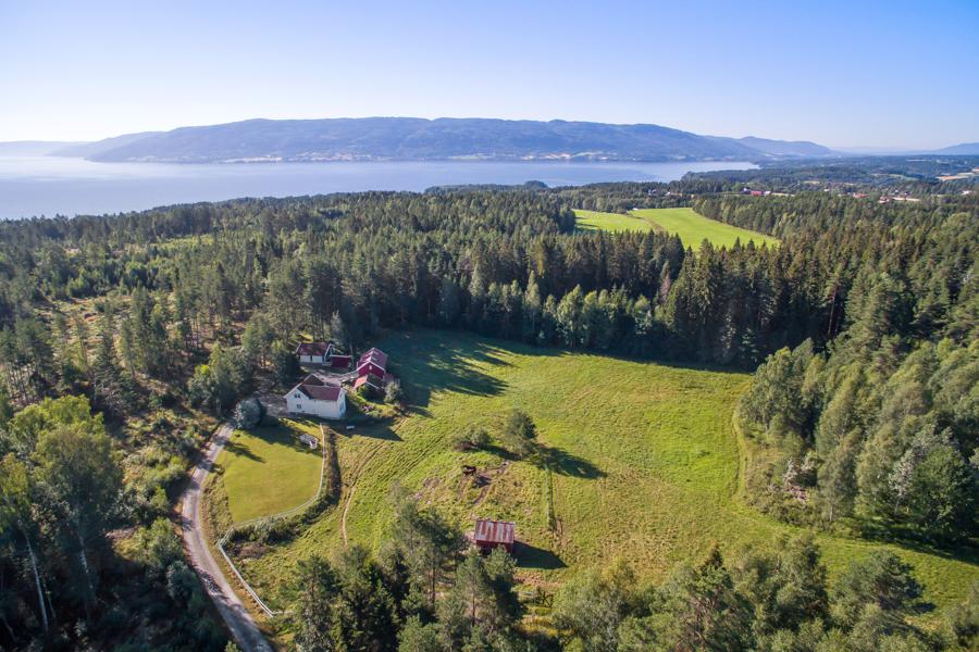 Velkommen til Bergheimveien 6