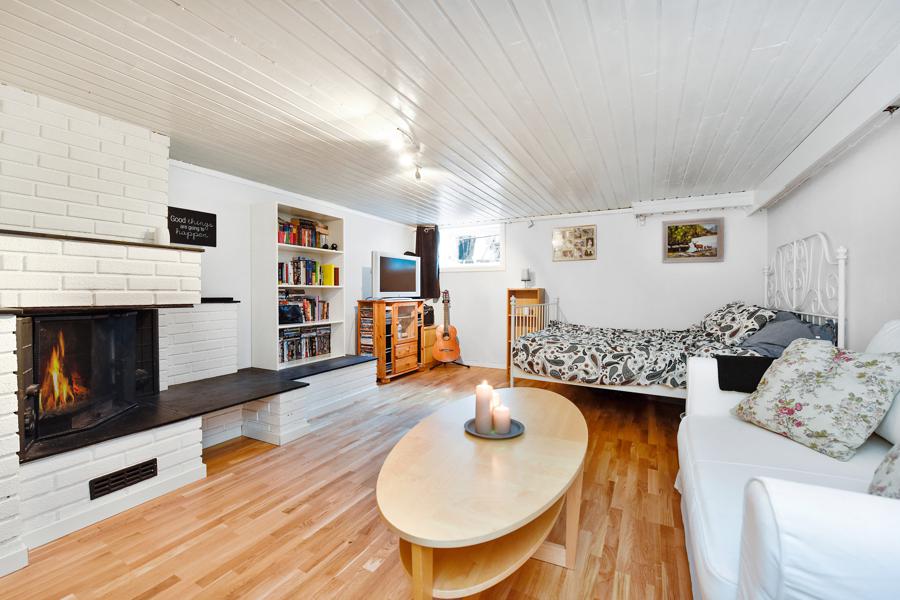 Basement living room