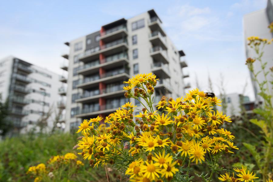 Velkommen til Breivikveien 19A