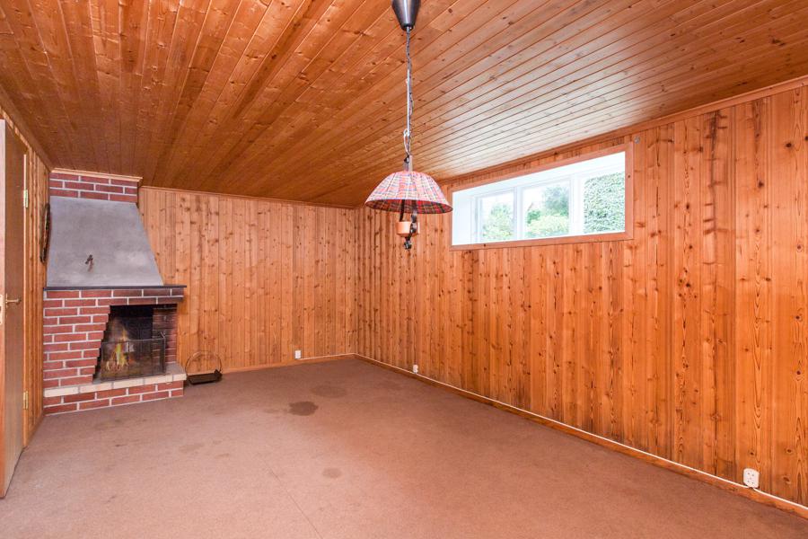 Basement living room