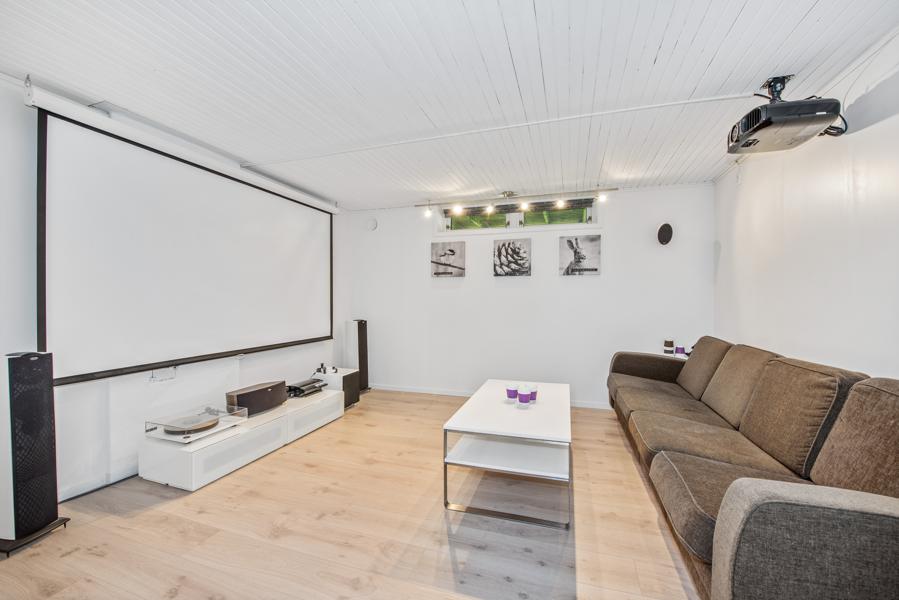 Basement living room
