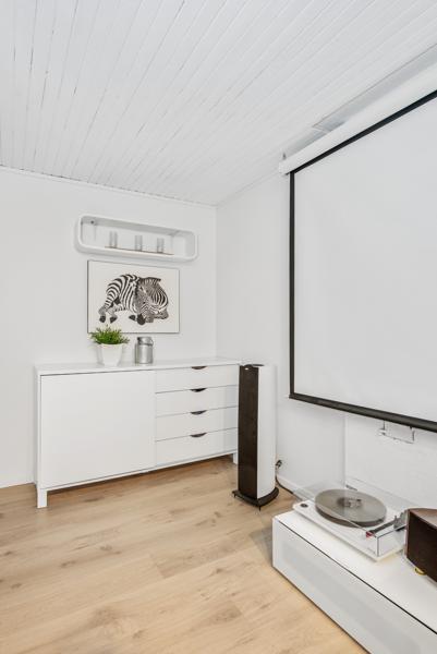 Basement living room
