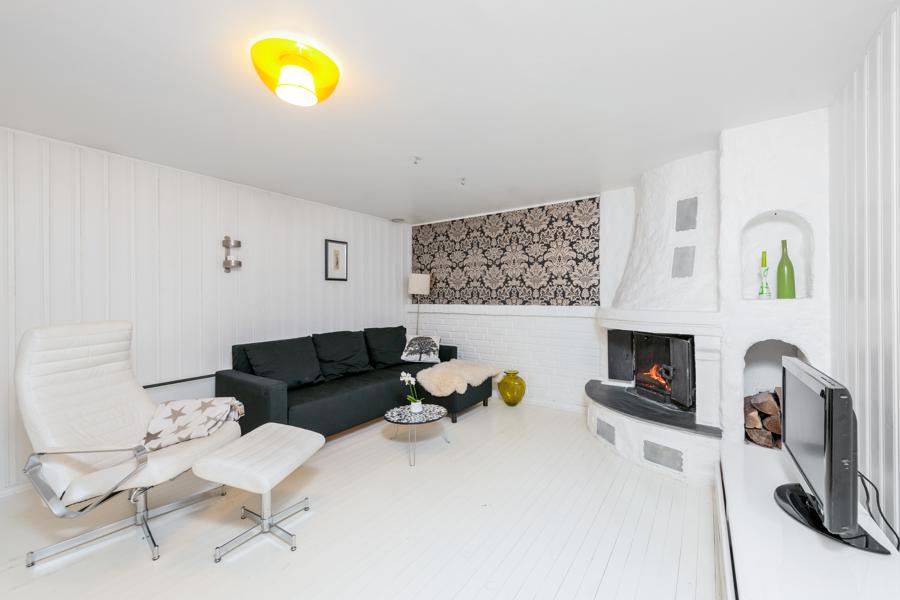 Basement living room